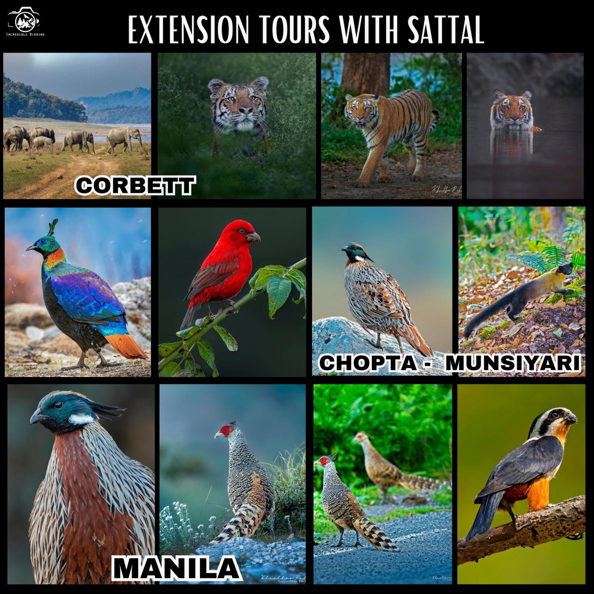 Incredible Birding Camp Appartement Bhīm Tāl Buitenkant foto