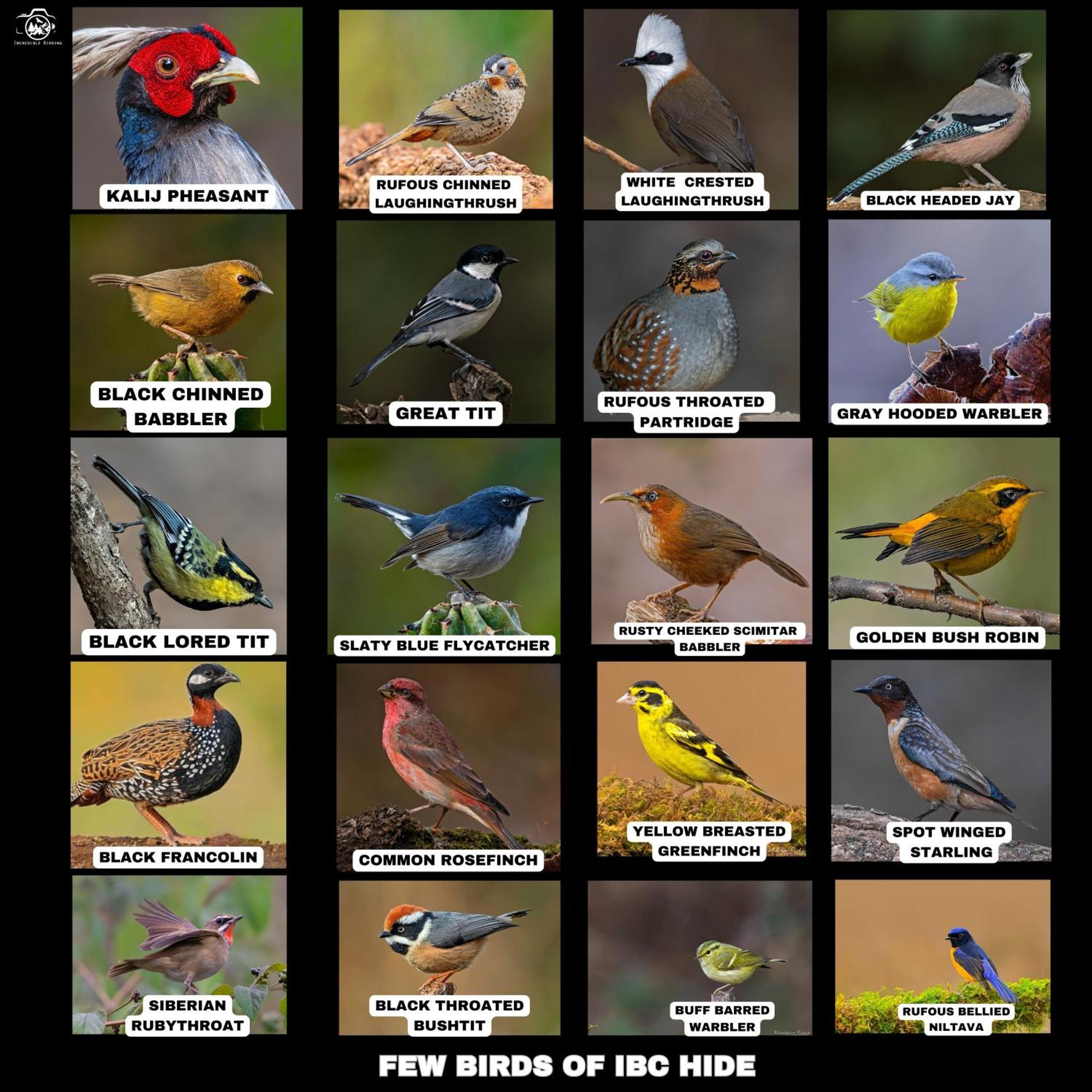 Incredible Birding Camp Appartement Bhīm Tāl Buitenkant foto